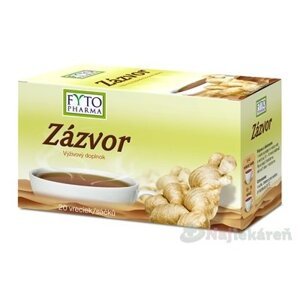 FYTO Zázvor, 20x1 g