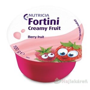 Fortini Creamy Fruit Multi Fibre príchuť červené ovocie 4x100 g