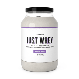 Proteín Just Whey - GymBeam, príchuť čučoriedkový jogurt, 2000g