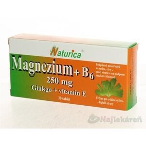 Naturica MAGNEZIUM 250 mg+B6+Ginkgo+vitamín E