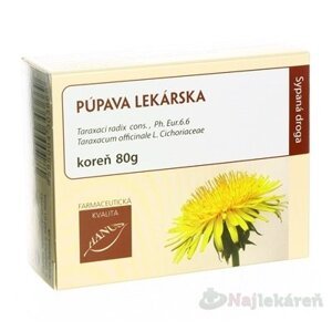 HANUS PÚPAVA LEKÁRSKA KOREŇ, 80g