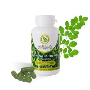 Moringa Caribbean STANDARD 60cps