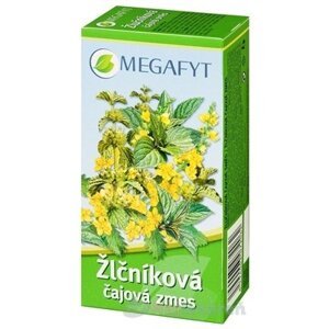 MEGAFYT Žlčníková čajová zmes, záparové vrecúška, 20x1,5g