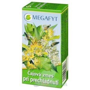 MEGAFYT Čajová zmes pri prechladnutí, 20x1,5g