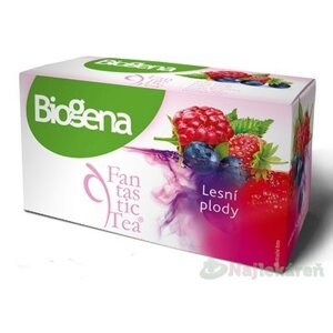 Biogena Fantastic Tea Lesné plody ovocný čaj 20x2,2 g