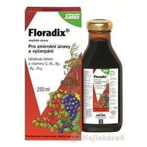 SALUS Floradix bylinný sirup, 250 ml