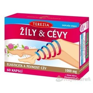 TEREZIA ŽILY & CIEVY 60 ks