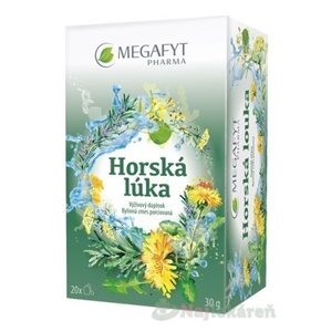 MEGAFYT Horská lúka bylinná zmes, 20x1,5g