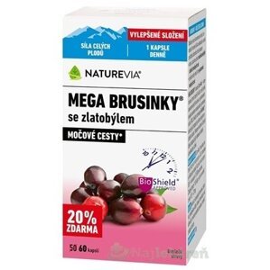 SWISS NATUREVIA MEGA BRUSNICE SO ZLATOBYĽOU na močové cesty 60 kapsúl