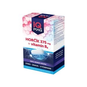 IQ MAG Horčík 375 mg + B6 60 kapsúl