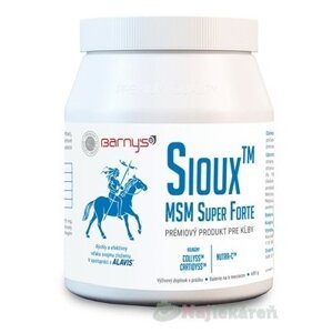 Barny's Sioux MSM Super Forte prášok 600g