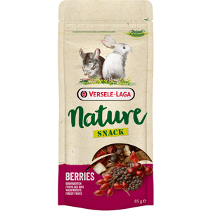 Maškrta Versele Laga Nature Snack pre hlodavce - lesné plody 85g