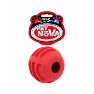 Pet Nova TPR FOODBALL RED hračka pre psy lopta 6cm