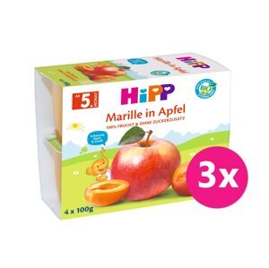 6x HiPP BIO Jablko-Broskyňa-Mango-Ananás + zinok 100 g, od 1 roka