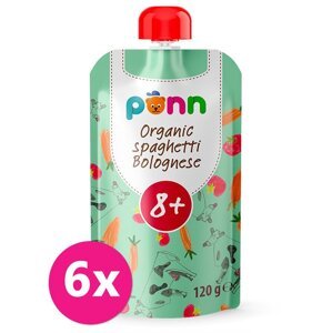 6x SALVEST Põnn BIO Bolonské špagety (120g)